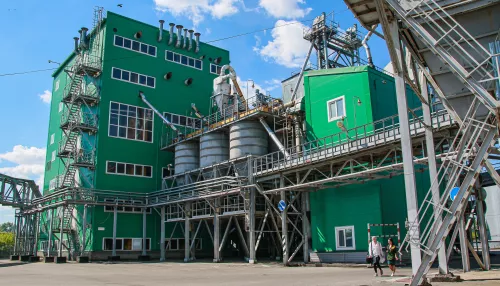 Алтайские заводы банкротного холдинга выросли в цене в четыре раза за два года