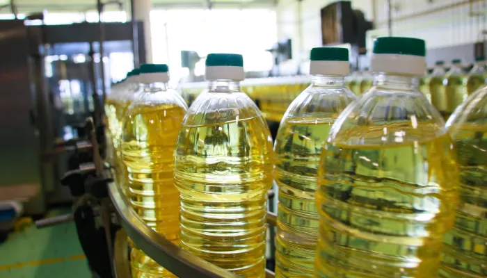 Миллиардный проект Благо в Рубцовске поставлен на паузу после ареста гендиректора