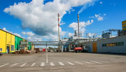 Всё во Благо: как в Барнауле производят известное в мире растительное масло