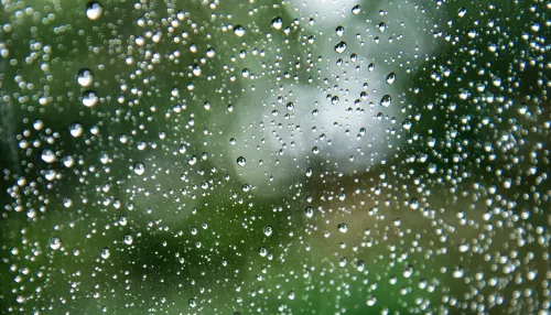 Дожди с грозами и прохлада. В Алтайском крае сохраняется штормовая погода