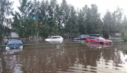 В Барнауле силовики заинтересовались видео, где девочку унесло потоком воды