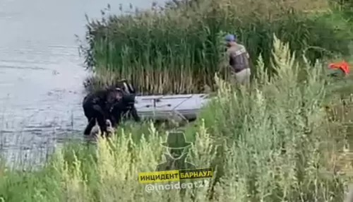 В Первомайском районе во время купания в реке утонул мужчина