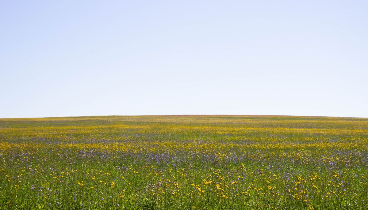 конец августа 2022