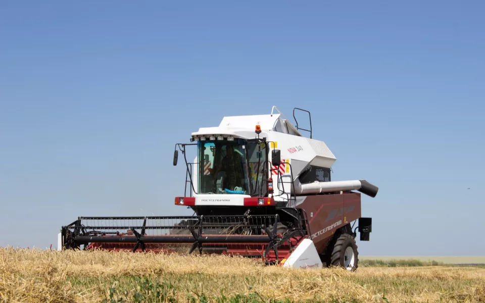 Полтора урожая запасов: алтайский министр оценил ситуацию на рынке зерна