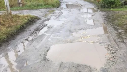 В барнаульском поселке после вмешательства депутата Госдумы начали ремонт дороги