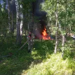 В Алтайском крае в березовой роще сгорел Москвич