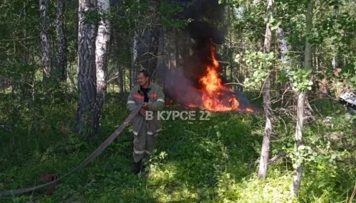 В Алтайском крае в березовой роще сгорел Москвич