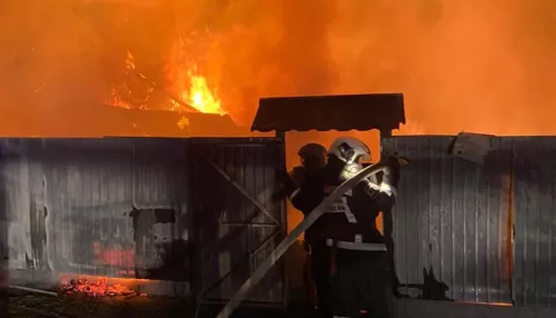 Более 30 человек боролись с крупным пожаром в Барнауле