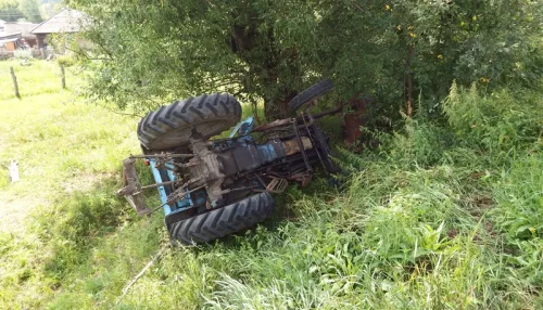 В Алтайском крае угощика трактора вычислили по кепке