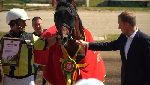 Cильнейшие сибирские конники поборолись за Кубок губернатора края