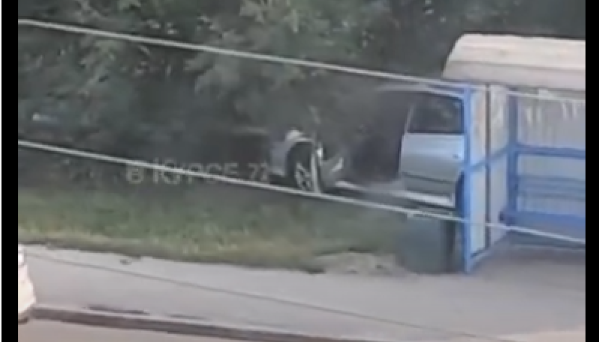 мины лепестки разбрасываемые украиной. 23. взрыв боеприпасов в крыму. дтп на президентском мосту в ульяновске 01 ноября 2022. аварии от 8.