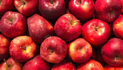 Поставщики фруктов подали в суд на Марию-Ра и оказались ей должны