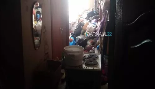 Житель Барнаула превратил квартиру в кишащую тараканами помойку