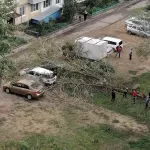 Пять автомобилей пострадали в Рубцовске из-за упавшего дерева