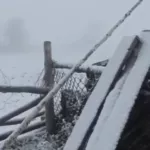 На Республику Алтай в августе обрушился мощный снегопад