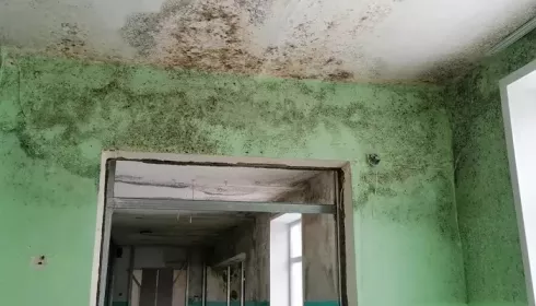 В Алтайском крае вновь перенесли срок завершения ремонта заплесневелой школы