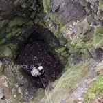 В Алтайском крае спасли щенка, упавшего в 12-метровую яму
