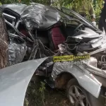 В алтайском селе водитель всмятку разбил машину о берёзу