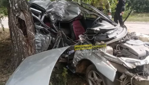 В алтайском селе водитель всмятку разбил машину о берёзу