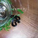 Жительница Барнаула поймала змею у себя на огороде