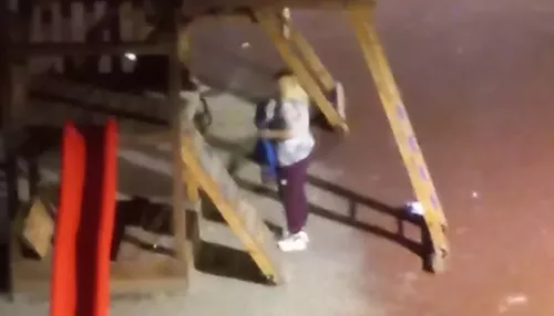 В Барнауле две женщины украли веревочную лестницу из детского городка
