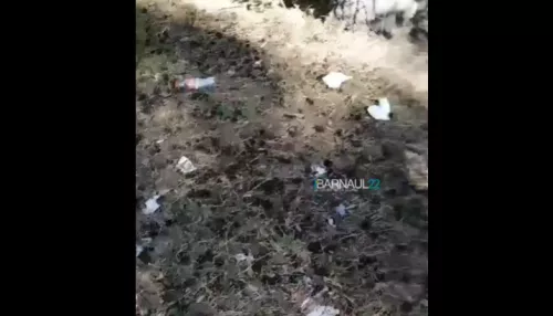 Привет свиньям: барнаульцы возмущены обилием мусора в ленточном бору