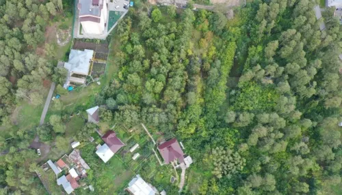 Вместо деревьев. Рядом с телевышкой в Барнауле хотят построить высотные дома