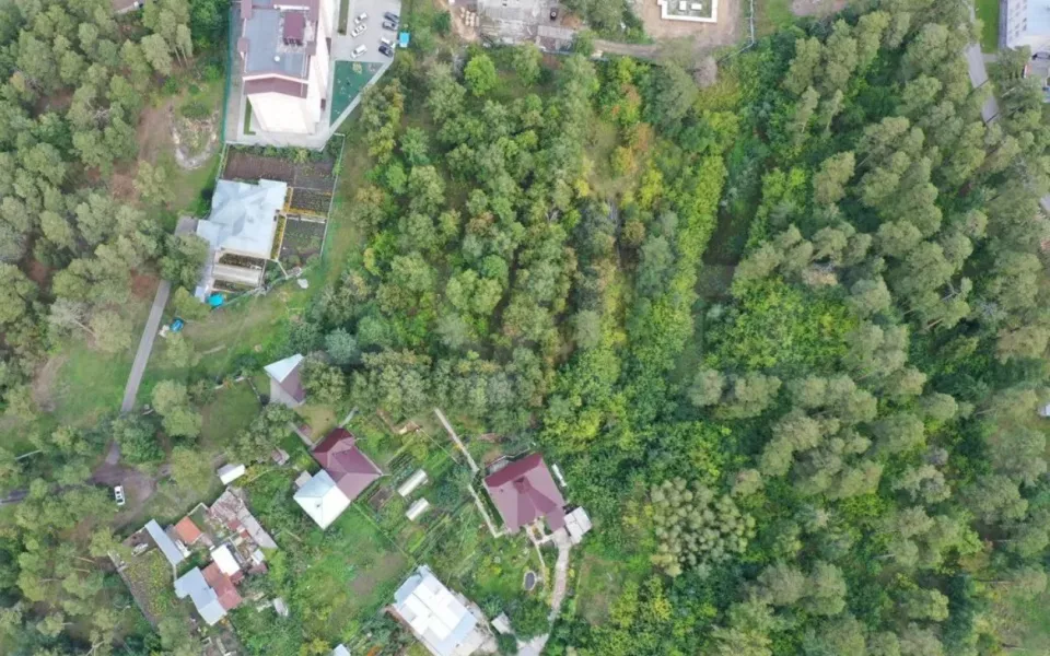 Вместо деревьев. Рядом с телевышкой в Барнауле хотят построить высотные дома