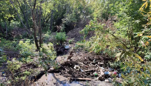Барнаульцы пожаловались на груду мусора в реке Пивоварке