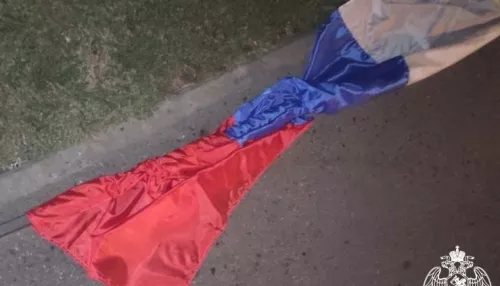 Барнаулец украл флаг России из гирлянды ко Дню города