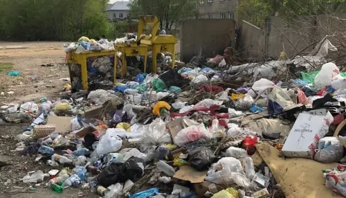 Не знаем, как решить: мэр Рубцовска оценил остроту мусорной проблемы в городе