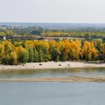 Будет ли бабье лето и когда оно обычно приходит в Алтайский край
