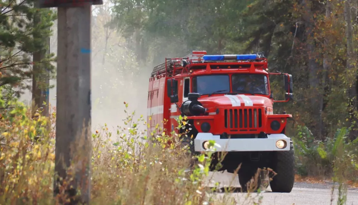 Что известно о крупном пожаре в районе Бийского олеумного завода - Толк  07.09.2022