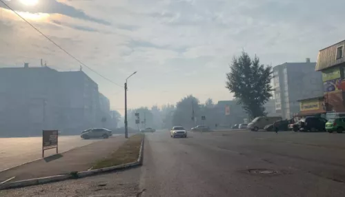 Человеческая безалаберность: в МЧС объяснили, почему Бийск вновь окутала дымка