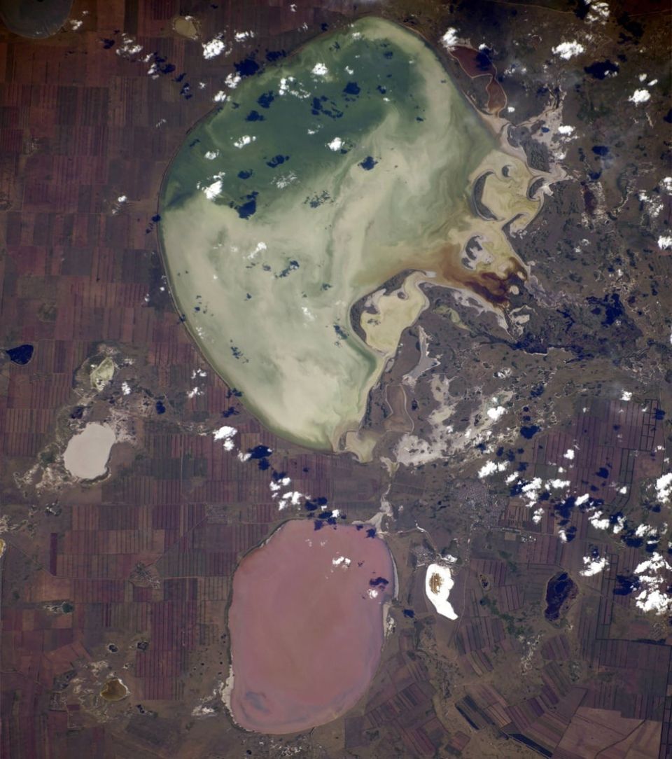 Солёные озёра Кулундинское (сверху) и Кучукское (снизу) из космоса