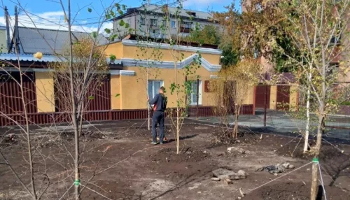 В Барнауле высаживают деревья и кустарники в сквере Медиков