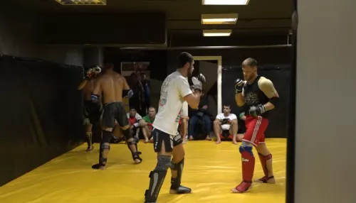 Международный турнир по ММА Open FC возвращается в Барнаул