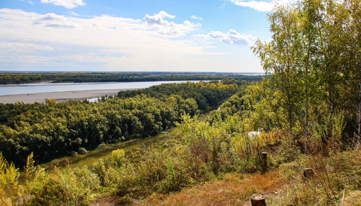 Погода смоленское на 3 дня алтайский край. Край. Барнаульский Дендрарий. Дендрарий Барнаул фото 2022.