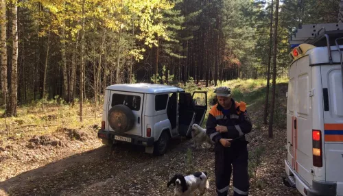 В Алтайском крае женщина пошла в лес за грибами и заблудилась