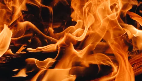 В Змеиногорске на пожаре погибли двое малолетних детей