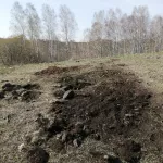 В Алтайском крае черный копатель разрыл древний памятник истории