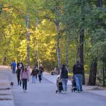Как в Барнауле приводят в порядок прогулочные зоны и парки. Фоторепортаж