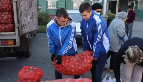 Барнаульцы закупились картошкой по 15 рублей за кг