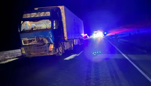 На Алтае в лобовом столкновении с фурой погиб всадник на лошади