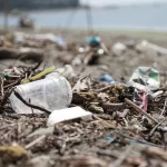 Бийчане возмущены свалкой мусора на территории педуниверситета