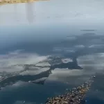 Прокуратура начала проверку покрывшегося пленкой озера в Камне-на-Оби