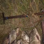 В алтайском крае поймали двух браконьеров с острогой
