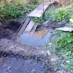 В Барнауле заметили поток горячей воды, который течет к мосту через Пивоварку