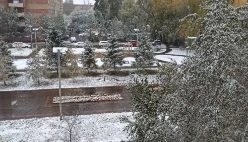 Зима близко: временный снежный покров ожидается в Западной Сибири