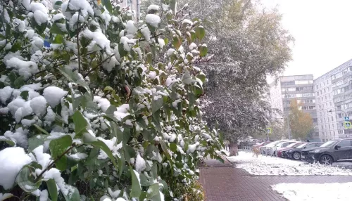 До -10 и небольшой снег. Какую погоду ждать в Алтайском крае в начале октября